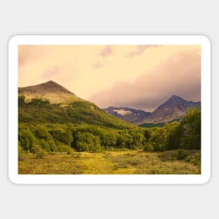 Patagonia heathland in Ushuaia Sticker